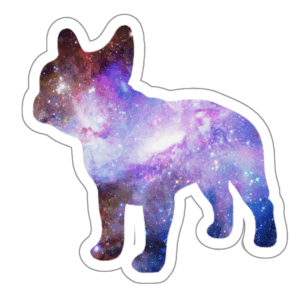 SPACE PIG French Bulldog sticker